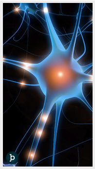 Medicina Imágenes sección